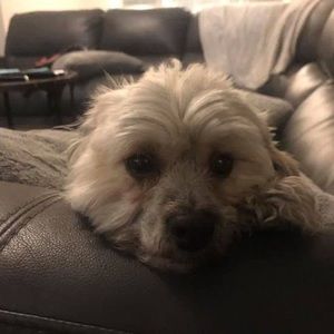 Meet your Posher, Frank